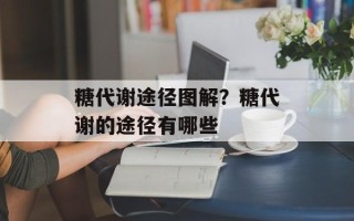 糖代谢途径图解？糖代谢的途径有哪些