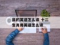 鼠的英语怎么读 十二生肖用英语怎么读