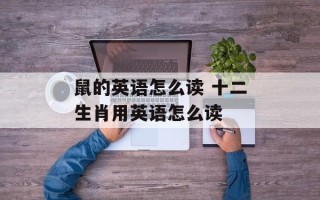 鼠的英语怎么读 十二生肖用英语怎么读