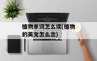 植物单词怎么读(植物的英文怎么念)