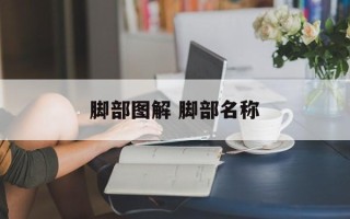 脚部图解 脚部名称