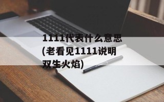 1111代表什么意思(老看见1111说明双生火焰)
