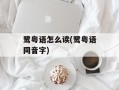 鹭粤语怎么读(鹭粤语同音字)