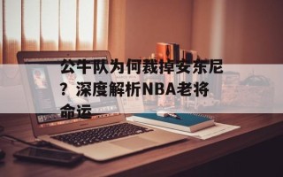 公牛队为何裁掉安东尼？深度解析NBA老将命运