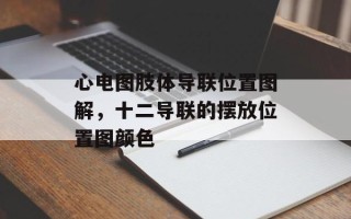 心电图肢体导联位置图解，十二导联的摆放位置图颜色