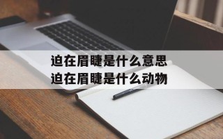 迫在眉睫是什么意思 迫在眉睫是什么动物