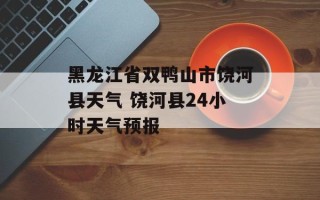 黑龙江省双鸭山市饶河县天气 饶河县24小时天气预报