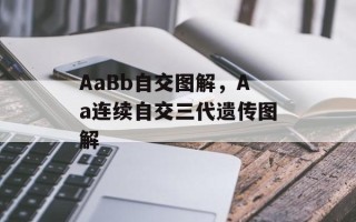 AaBb自交图解，Aa连续自交三代遗传图解