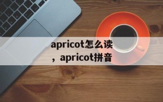 apricot怎么读，apricot拼音