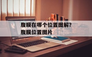 腹膜在哪个位置图解？腹膜位置图片