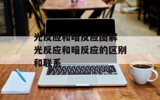光反应和暗反应图解 光反应和暗反应的区别和联系