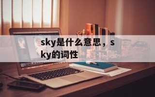 sky是什么意思，sky的词性