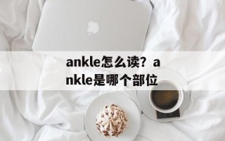 ankle怎么读？ankle是哪个部位