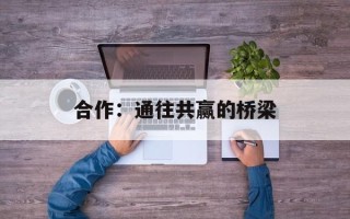 合作：通往共赢的桥梁