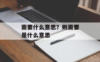 需要什么意思？则需要是什么意思