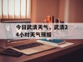 今日武清天气，武清24小时天气预报