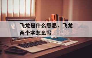 飞龙是什么意思，飞龙两个字怎么写