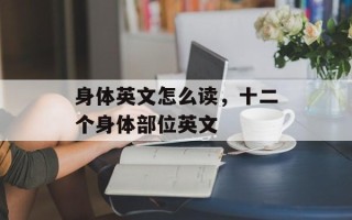身体英文怎么读，十二个身体部位英文