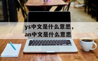 ys中文是什么意思，an中文是什么意思