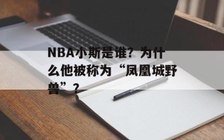 NBA小斯是谁？为什么他被称为“凤凰城野兽”？
