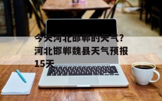 今天河北邯郸的天气？河北邯郸魏县天气预报15天