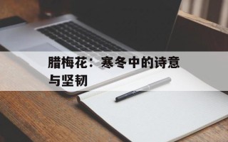 腊梅花：寒冬中的诗意与坚韧