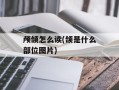 颅颌怎么读(颌是什么部位图片)