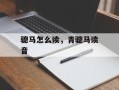 骢马怎么读，青骢马读音