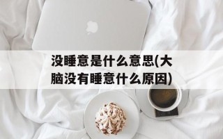 没睡意是什么意思(大脑没有睡意什么原因)