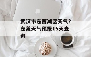 武汉市东西湖区天气？东莞天气预报15天查询