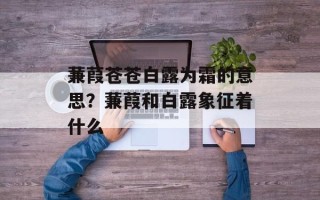 蒹葭苍苍白露为霜的意思？蒹葭和白露象征着什么