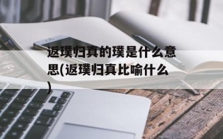 返璞归真的璞是什么意思(返璞归真比喻什么)