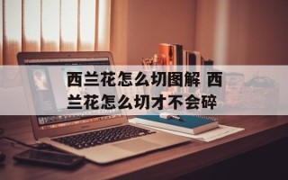 西兰花怎么切图解 西兰花怎么切才不会碎