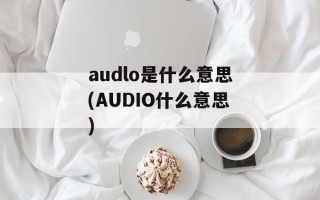 audlo是什么意思(AUDIO什么意思)