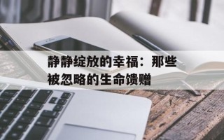 静静绽放的幸福：那些被忽略的生命馈赠
