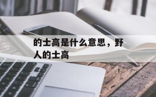 的士高是什么意思，野人的士高