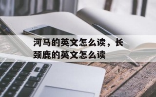 河马的英文怎么读，长颈鹿的英文怎么读