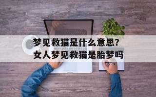 梦见救猫是什么意思？女人梦见救猫是胎梦吗