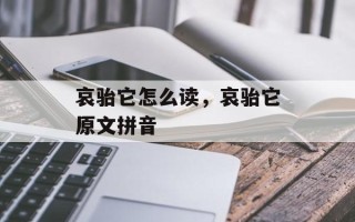哀骀它怎么读，哀骀它原文拼音
