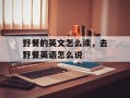 野餐的英文怎么读，去野餐英语怎么说