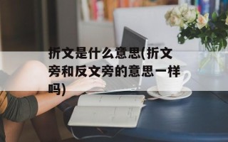 折文是什么意思(折文旁和反文旁的意思一样吗)