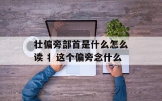 壮偏旁部首是什么怎么读 丬这个偏旁念什么