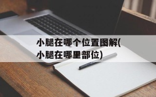 小腿在哪个位置图解(小腿在哪里部位)