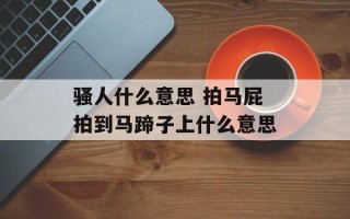 骚人什么意思 拍马屁拍到马蹄子上什么意思
