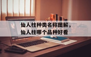 仙人柱种类名称图解，仙人柱哪个品种好看