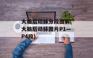 大脑后动脉分段图解(大脑后动脉图片P1—P4段)