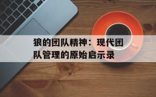 狼的团队精神：现代团队管理的原始启示录