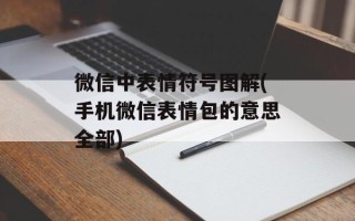 微信中表情符号图解(手机微信表情包的意思全部)