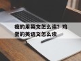 瘦的用英文怎么读？鸡蛋的英语文怎么读