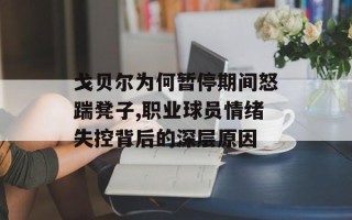 戈贝尔为何暂停期间怒踹凳子,职业球员情绪失控背后的深层原因